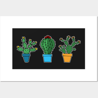 Cacti #5 Posters and Art